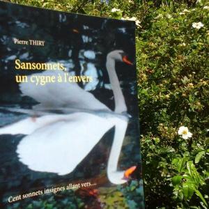 Les Lectures d'OpheChups vous invite à découvrir SANSONNETS UN CYGNE À L'ENVERS cliquez ici 