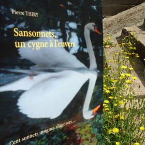 CINÉ LIRE vous invite à lire SANSONNETS UN CYGNE À L'ENVERS pour vos vacances cliquez ici 