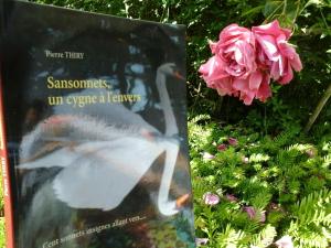 POUR UN MOT vous invite à lire SANSONNETS UN CYGNE À L'ENVERS cliquez ici 