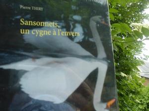 60e critique sur BABELIO pour SANSONNETS UN CYGNE À L'ENVERS cliquez ici 