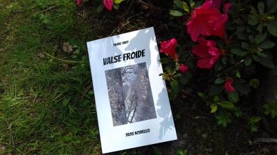 Plus de trente critiques sur Babelio pour VALSE FROIDE