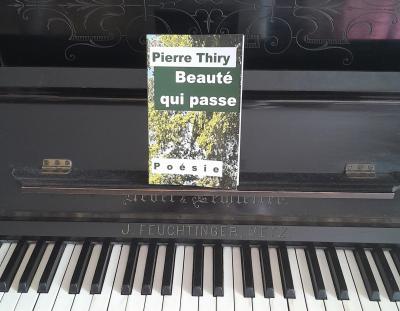 Beauté qui passe (appel à chroniques)