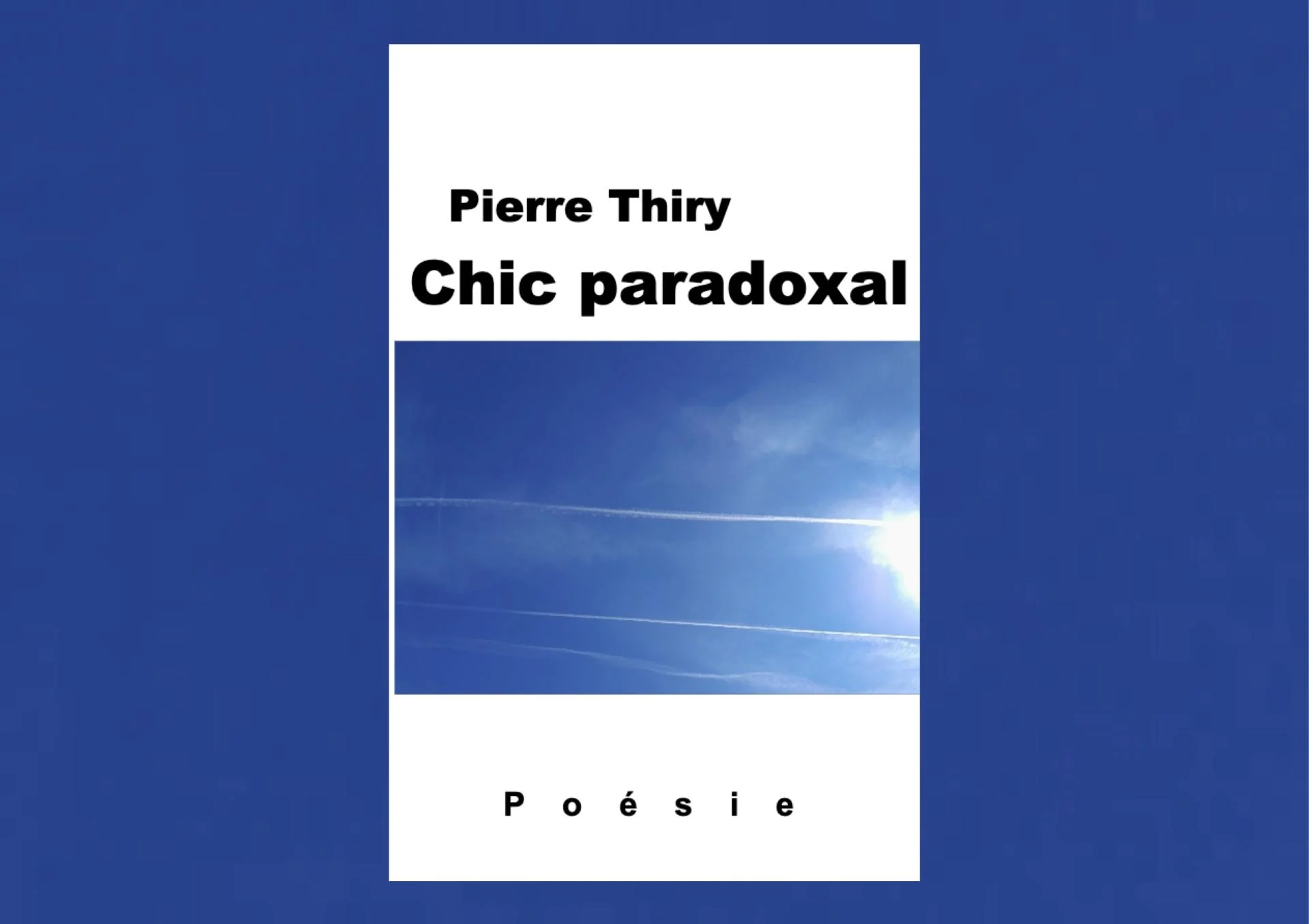 Bannie re chic paradoxal pour site 