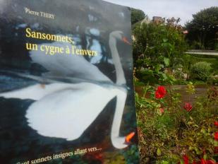 Cocobooks a lu (à toute allure) sansonnets un cygne à l'envers et vous le recommande cliquez ici 