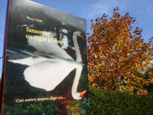 Livro-Merveille vous invite à lire SANSONNETS UN CYGNE À L'ENVERS