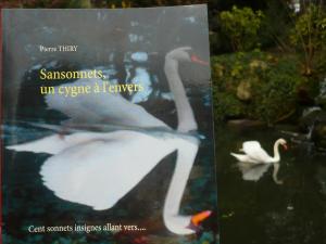 SANSONNETS UN CYGNE À L'ENVERS