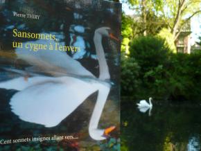 Sansonnets un cygne à l'envers cliquez ici 