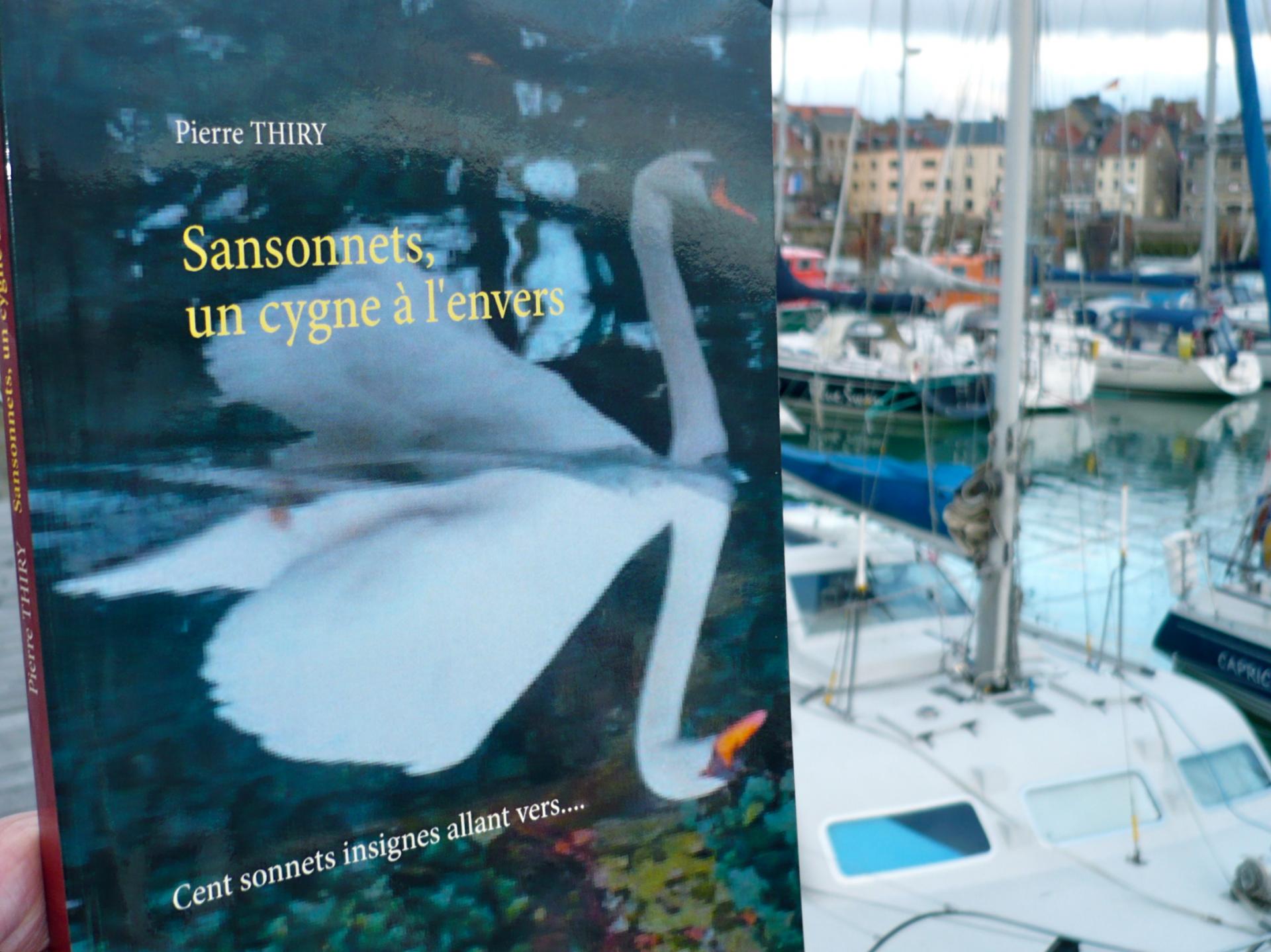 SANSONNETS UN CYGNE À L'ENVERS coup de coeur du mois sur le blog de CHARLOTTE BOKEUSE