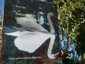 Le Coin d'Audrey vous invite à lire SANSONNETS UN CYGNE À L'ENVERS cliquez ici 