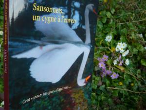 77e critique sur Babelio pour SANSONNETS UN CYGNE À L'ENVERS cliquez ici 