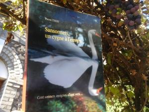 Alouqua Lecture vous invite à lire SANSONNETS UN CYGNE À L'ENVERS sur Babelio cliquez ici 