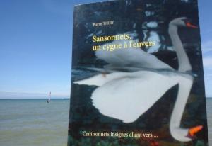 Creesalie vous invite à lire SANSONNETS UN CYGNE À L'ENVERS (plus une interview)