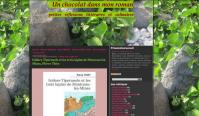 un-chocolat-dans-mon-roman a lu Isidore Tiperanole et les trois lapins de Montceau-les-Mines et vous le recommande